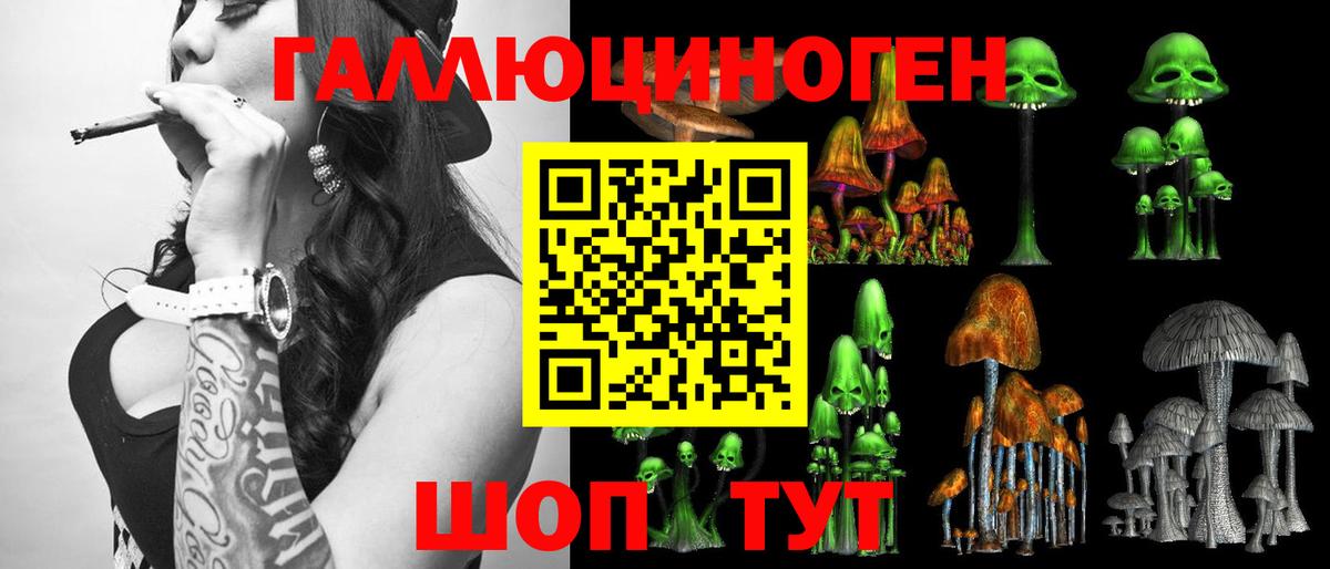 Галлюциногенные грибы GOLDEN TEACHER  Вход с VPN  Киселёвск 