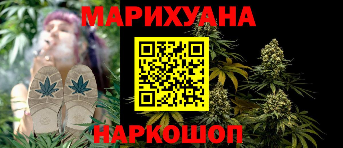 Марихуана сатива  Бошки марихуана тримм  Киселёвск  Вход с VPN 
